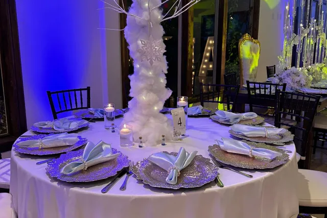 Adam's Event Planning Quinceanera