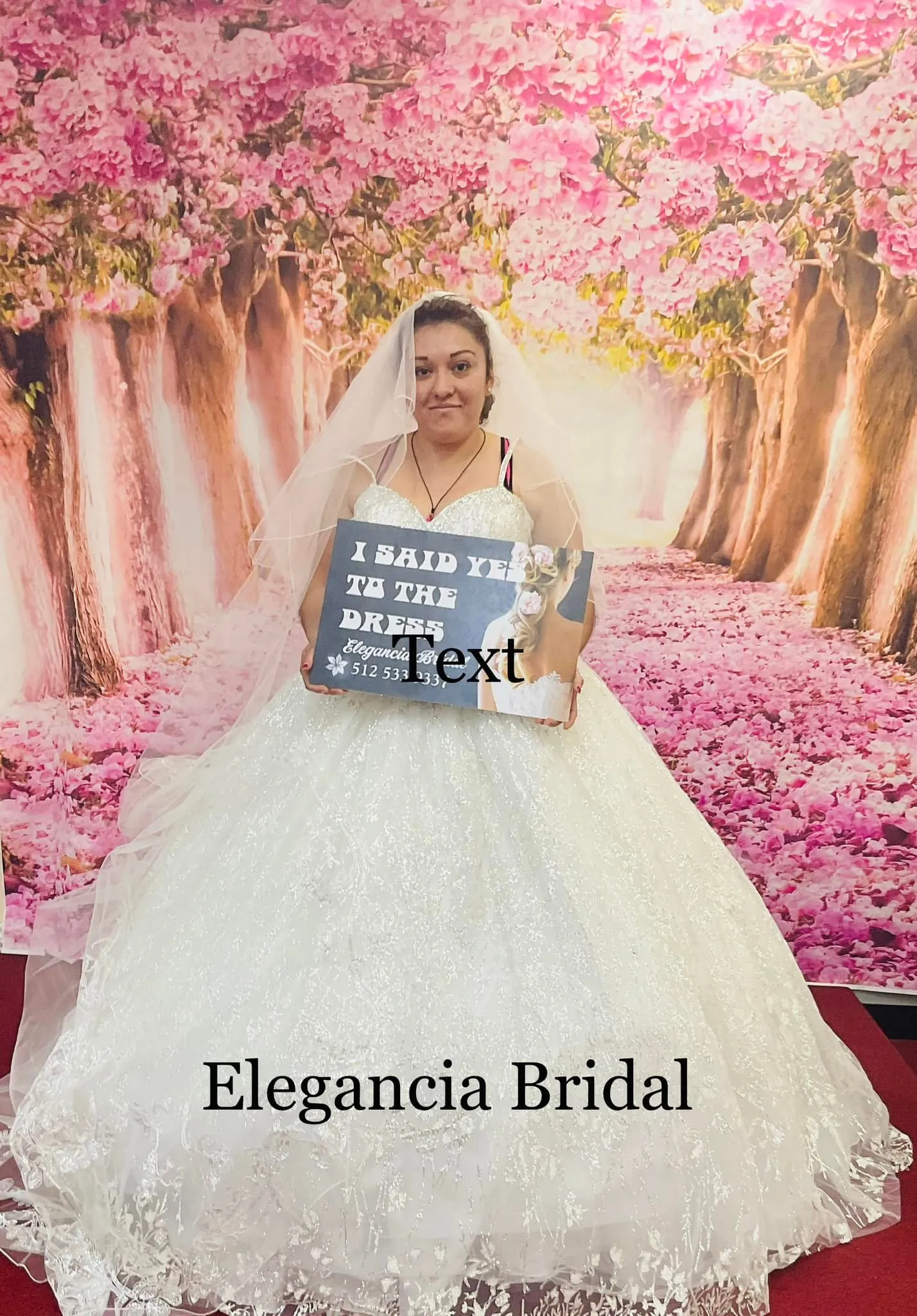 Elegancia Quinceanera dresses austin